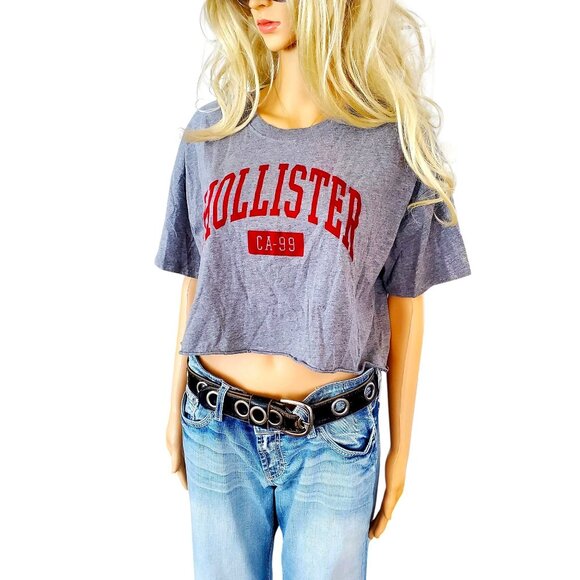 Hollister Crop Top Gray with Red Velvet-like Hollister Logo Medium - Picture 9 of 10